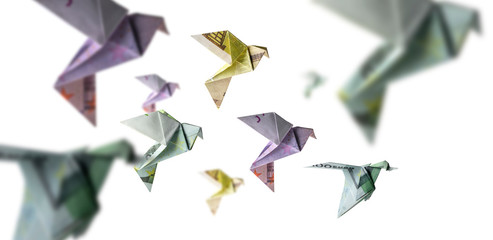 A flock of birds from Euro banknotes fly