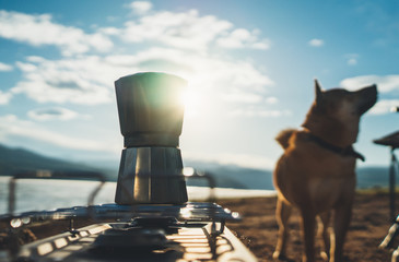 pet dog cooking hot drink tea in nature camping outdoor, prepare breakfast coffee picnic on metal gas stove, tourism recreation outside; campsite lifestyle - obrazy, fototapety, plakaty
