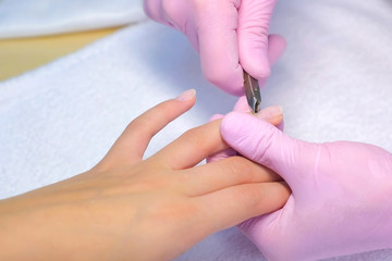 Manicurist master in gloves is making manicure for woman cutting cuticle with professional nail nippers tongs, hands closeup. Professional manicure in beauty salon clinic. Manual work.
