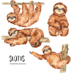 Watercolor set with cute animal sloths illustrations © MarinaErmakova