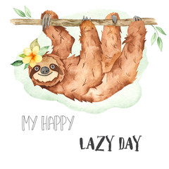 Watercolor card with cute animal sloth hanging on a tree © MarinaErmakova