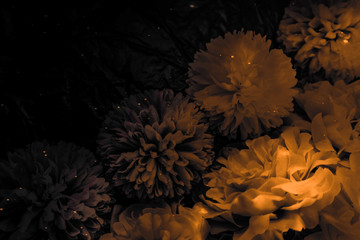 Beautiful abstract color black and yellow flowers graphic on black background and gold flower frame and brown leaves texture, dark background, orange and gold love banner