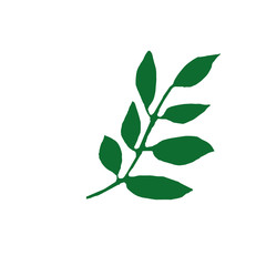 Obraz premium branch with leaves hand drawn in simple style. plant silhouette vector graphic element for design sticker, icon, postcard, poster. spring, summer, abstract greens