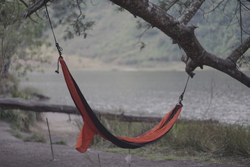 lake and hammock background