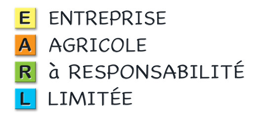 EARL initials in colored 3d cubes with meaning in french language