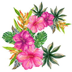 hand drawn tropical summer bouquet watercolor rainforest botanicle food fruit seaweed coral plants set