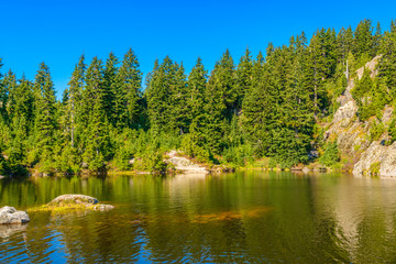 Majestic mountain wild forest lake in Canada.