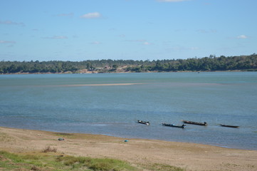 Clear river surrounded by forest on the banks