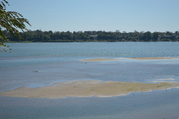 Clear river surrounded by forest on the banks