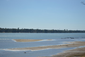 Clear river surrounded by forest on the banks