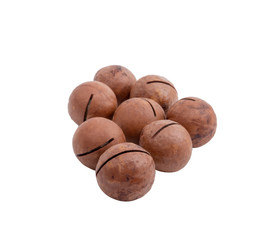 Macadamia nuts natural food isolated on the white