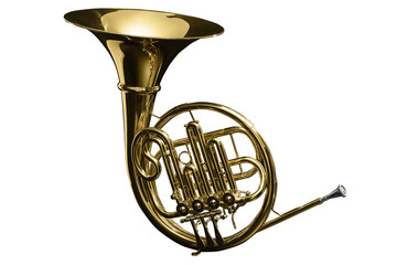 French Horn over white plain background
