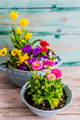 Decoration with spring flowers. Happy Easter.