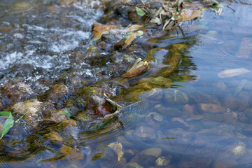 Small barrage dams for water