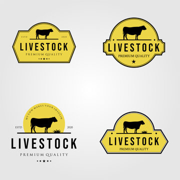 set of cow livestock logo vintage vector illustration design