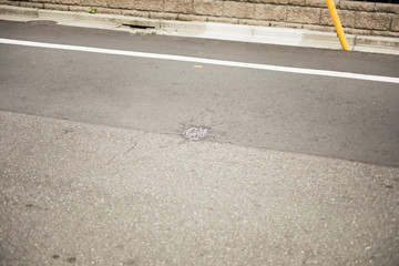 風景　背景　日本