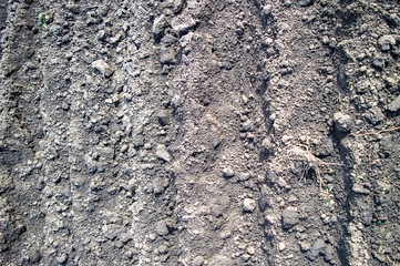 Black soil texture background closeup