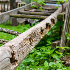 Old broken wooden ladder in spring garden
