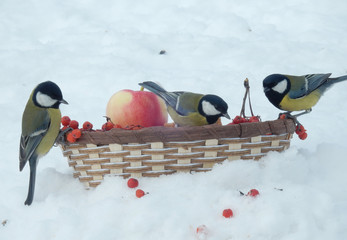 On the snow is a basket with crusts of bread, red mountain ash, seeds. Tits sit on the feeder.