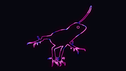 Beautiful outline of chameleon or lizard with neon lighting. animal outline with neon light effect isolated on black background.