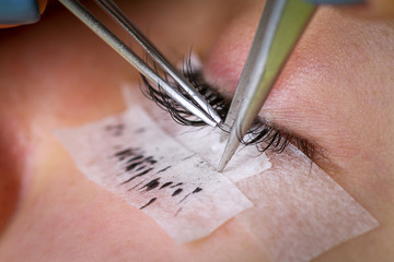 Obraz premium Eyelash extension procedure, woman eye with Long eyelashes