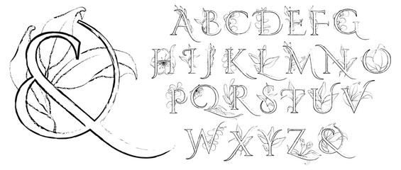Line art alphabet with flowers and leaves. Romantic floral font. Hand drawn letters set © EvgeniiasArt