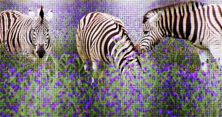 Fototapeta premium Close up of Zebras on a meadow with flowering blue weed