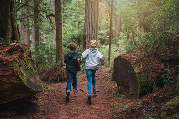 Boy and girl running on a trail in the redwood forest, woods