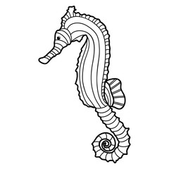 Sea horse simple coloring