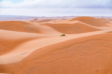 Sand Dunes in Wahiba Sands Desert at Sunrise, Oman