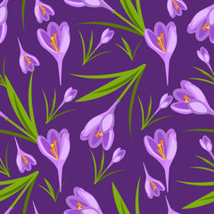 Obraz na płótnie Canvas Purple crocuses in the snow pattern