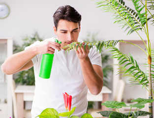Man taking care of plants at home