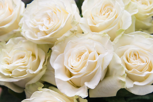 Flowers for women,  Festive bouquet