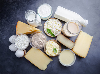 Fresh dairy products, milk, cottage cheese, eggs, yogurt, sour cream and butter on black...