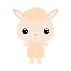 Cute baby alpaca. Domestic animal. Flat vector stock illustration on white background