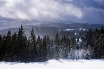 Fototapeta na wymiar Mountain landscape during a snowstorm