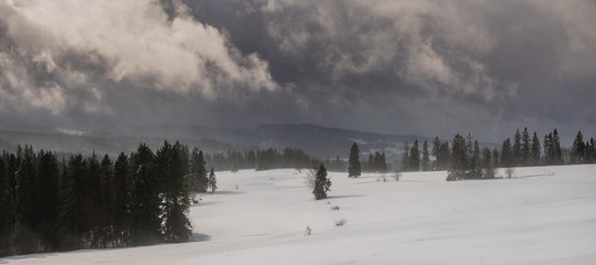 Mountain landscape during a snowstorm