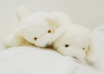 Two soft toys polar bears close-up. Children's toy