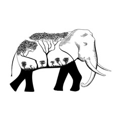 Elephant design wild nature concept africa in full growth, moving forward