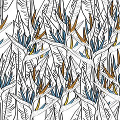 Seamless pattern with strelitzia flowers leaf sketch, blue orange black contour white background. simple ornament, Can be used for Gift wrap, fabrics, wallpapers. Vector