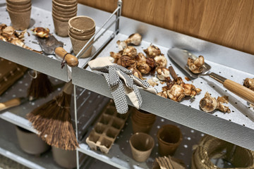 Shelves with plant bulbs and equipment for seeding