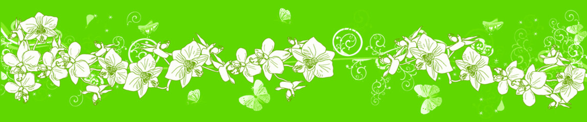 green stripe with orchids and butterflies design