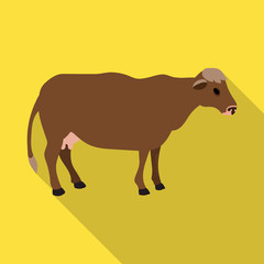 Cow of animal vector icon.Flat vector icon isolated on white background cow of animal.