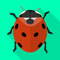 Fototapeta premium Lady bug vector icon.Flat vector icon isolated on white background lady bug.