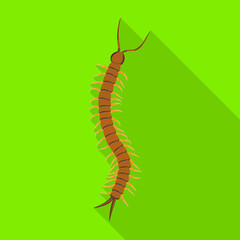 Centipede vector icon.Flat vector icon isolated on white background centipede .