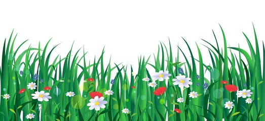 Blooming summer flowers with green grass vector illustration. Red and purple chamomile on meadow cartoon style design. Summertime concept. Isolated on white background