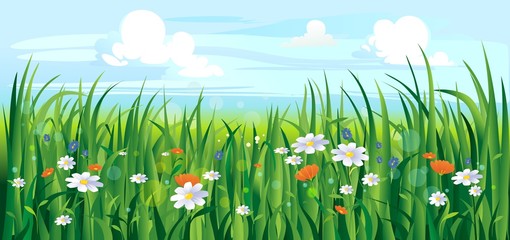 Colourful summer or spring landscape with flowers vector illustration. Green meadow with daisies cartoon style design. Warm season and picturesque scenery background