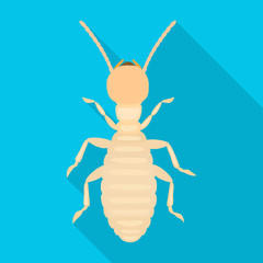 Worker termite vector icon.Flat vector icon isolated on white background worker termite.