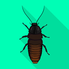 Cockroach insect vector icon.Flat vector icon isolated on white background cockroach insect.