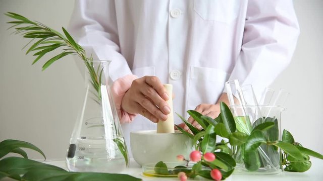 Medicine preparation formulating, Pharmacist grinding and mixing natural herb extract in mortar, Research and development alternative pharmacy concept.